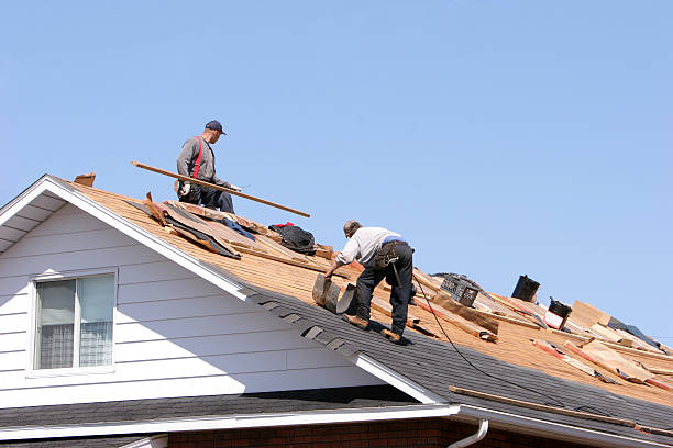 Best Metal Roofing Installation  in Wailua Homesteads, HI
