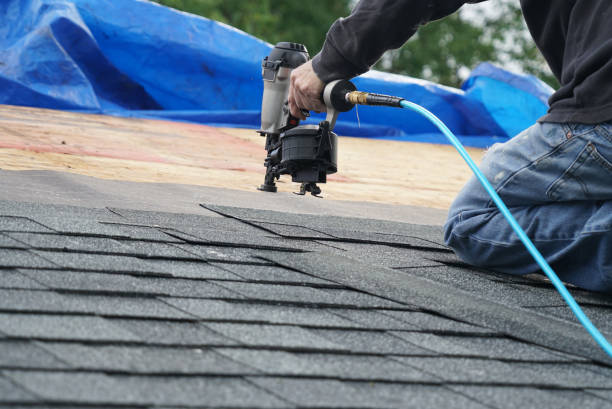 Best Roof Moss and Algae Removal  in Wailua Homesteads, HI